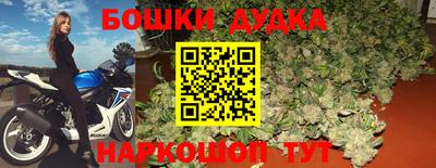 ALPHA PVP Гудермес