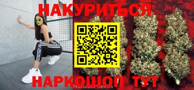 ALPHA PVP Гудермес