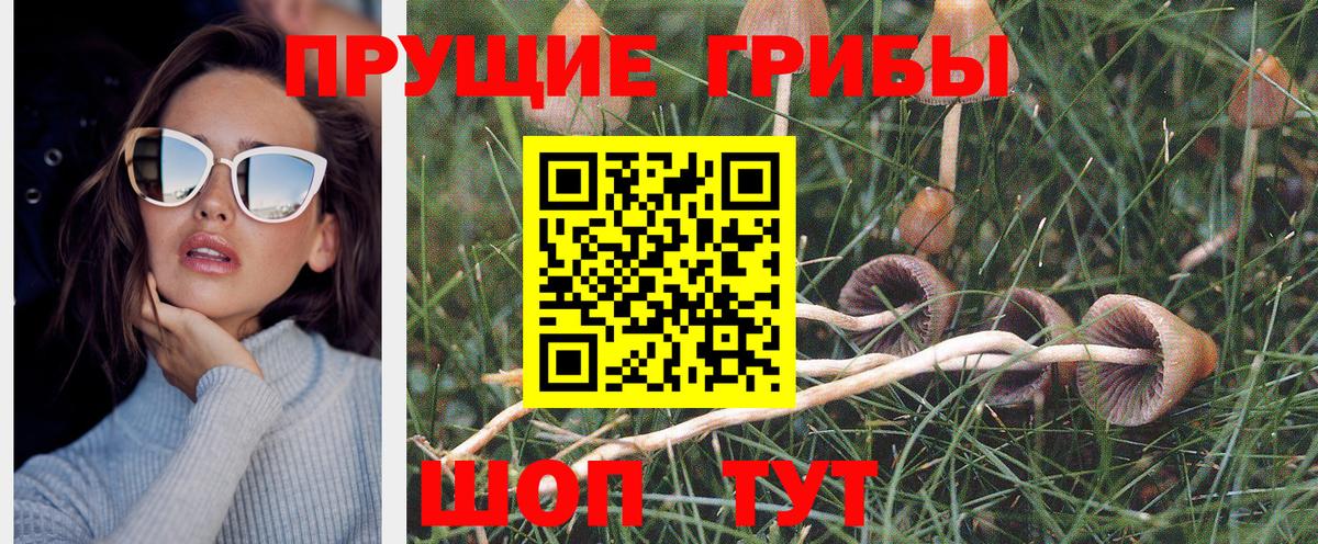 Бердск  Галлюциногенные грибы Magic Shrooms  Вход с VPN 